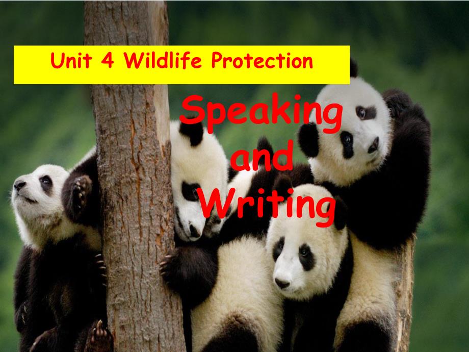 高中英语人教版必修二：unit 4 wildlife protection speaking and writing 课件 _第1页