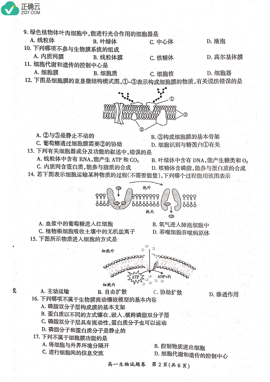 安徽省天长市2018-2019学年高一上学期期末统考生物试卷（pdf版）_第2页