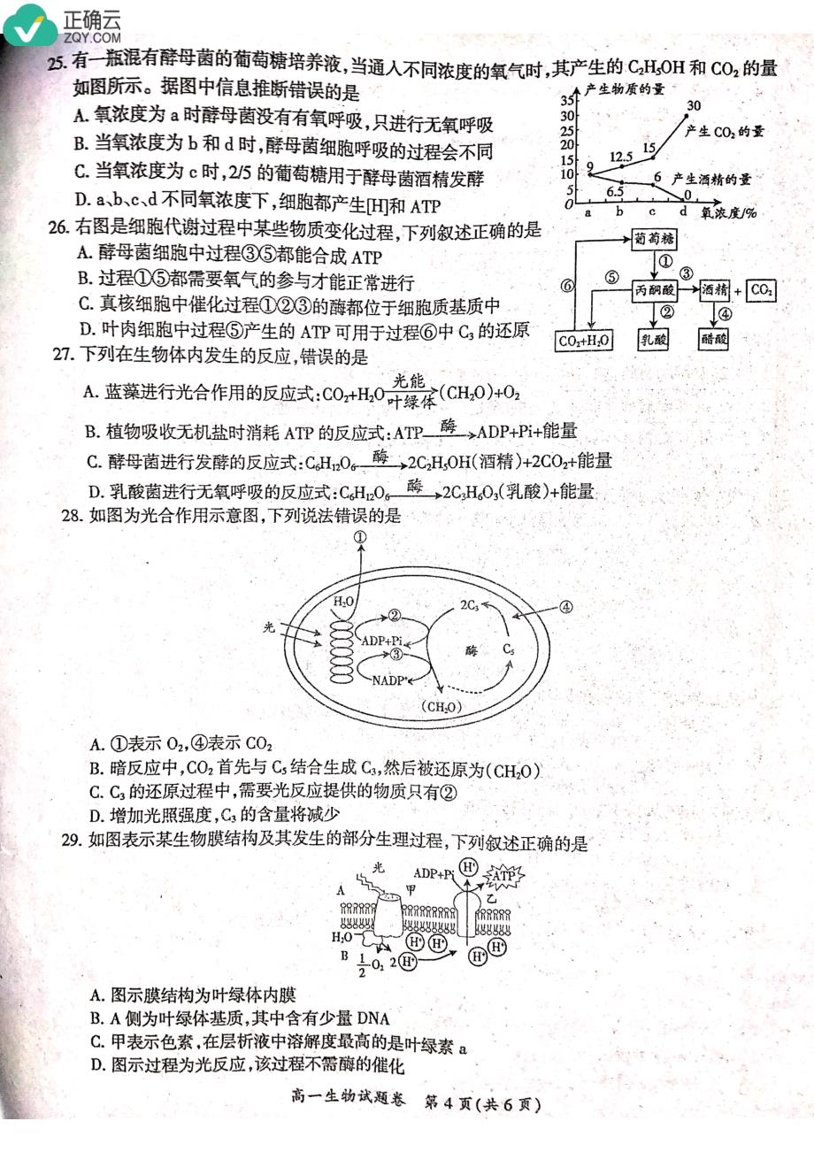 安徽省天长市2018-2019学年高一上学期期末统考生物试卷（pdf版）_第4页