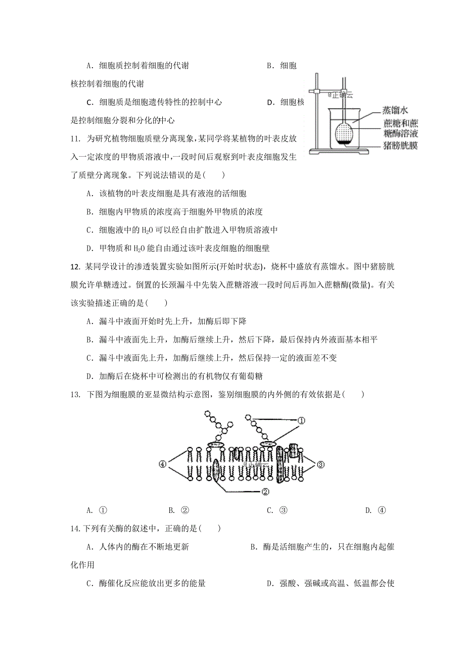 山西省永济中学2018-2019学年高一上学期12月月考生物---精校Word版含答案_第3页