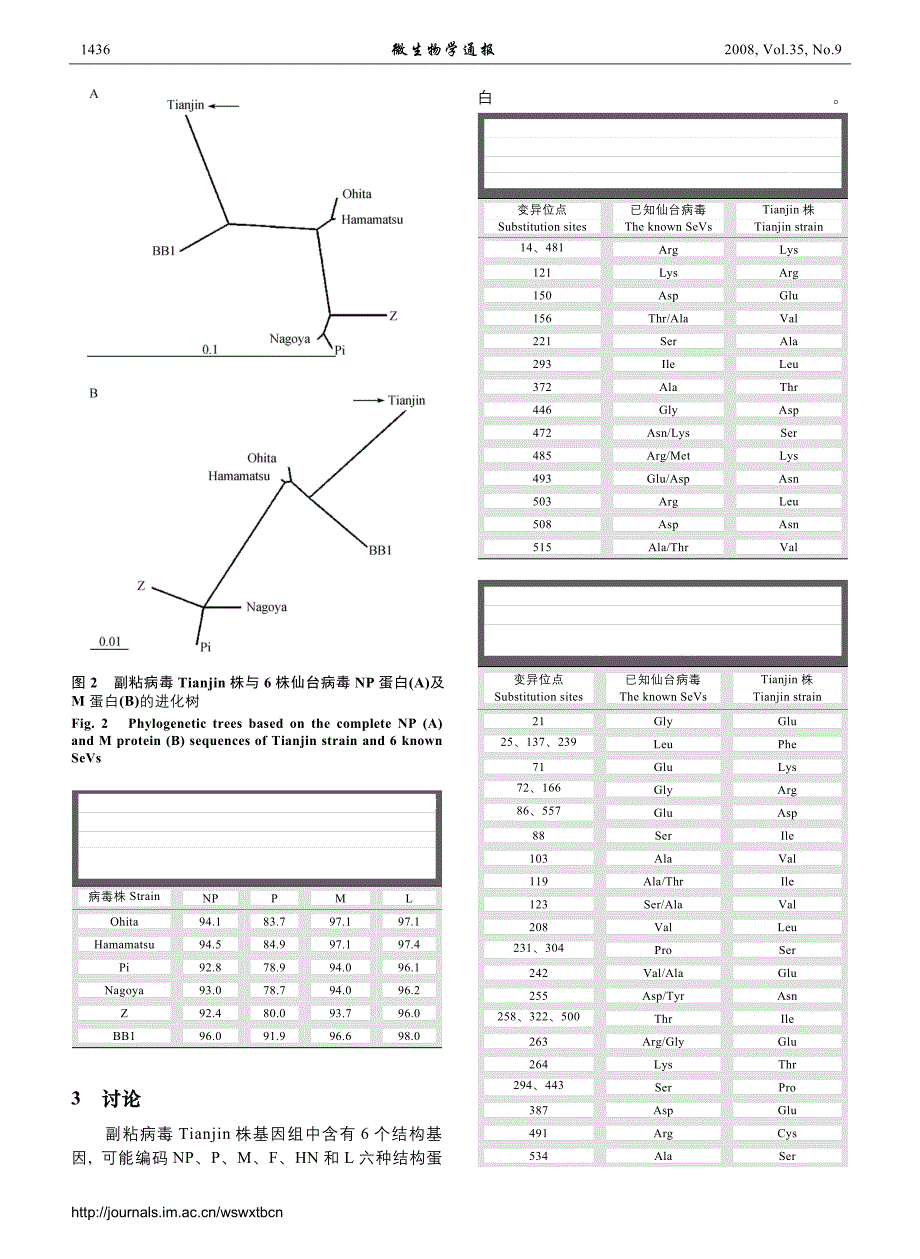 副粘病毒tianjin株np_第4页