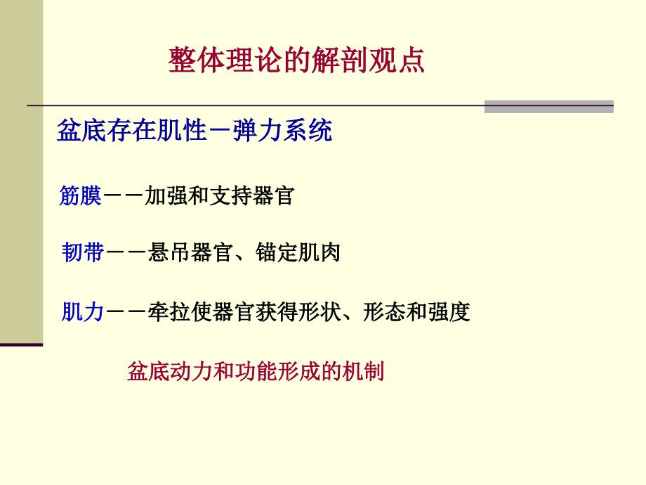 integral theory 盆底动力解剖与盆底重建手术-课件，幻灯，_第2页