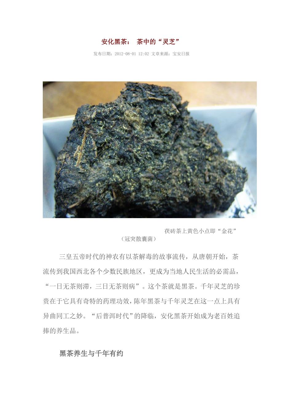 安化黑茶：茶中的“灵芝”_第1页