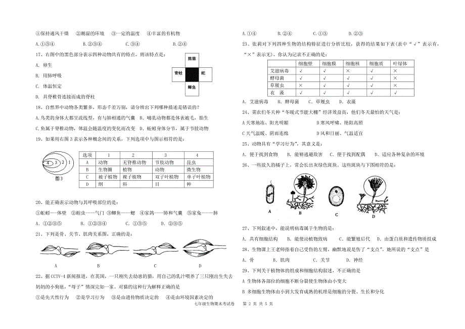 七年级期末试题(打印卷)_第2页