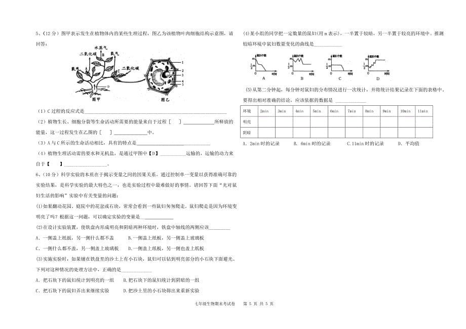 七年级期末试题(打印卷)_第5页