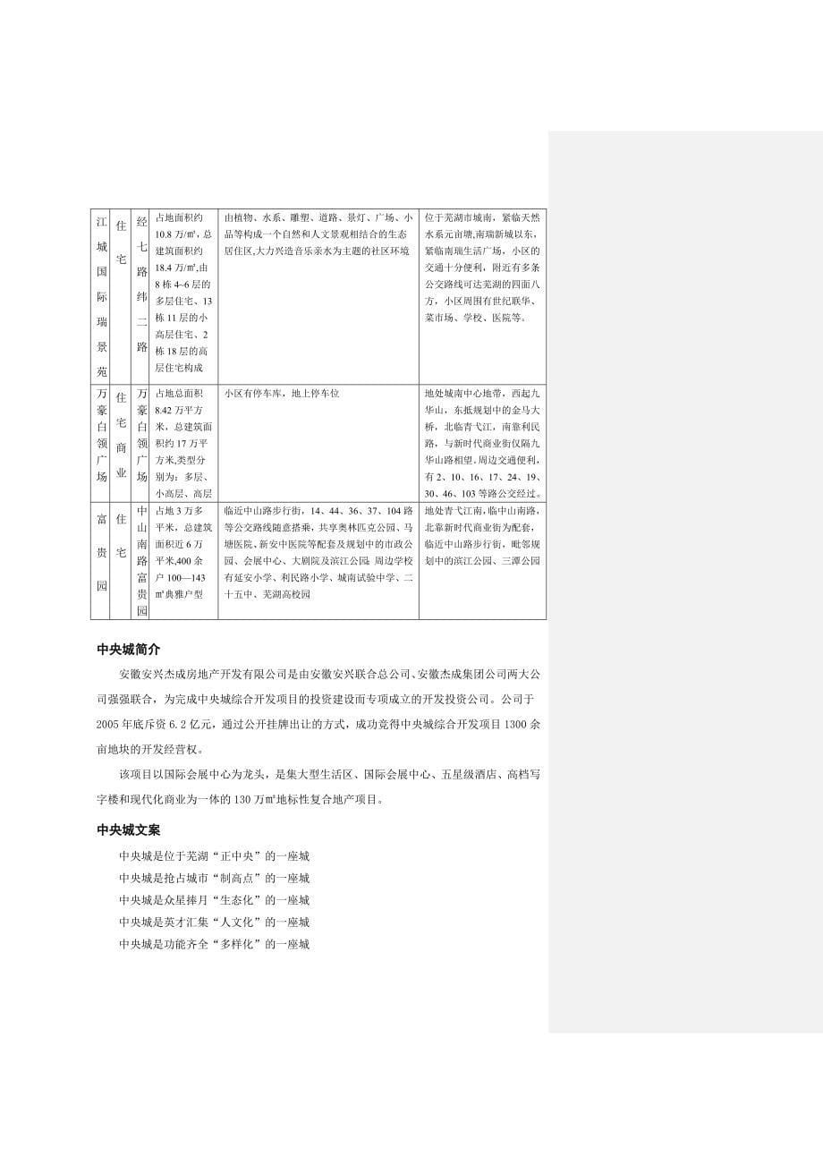 广告营销策划书范例_第5页