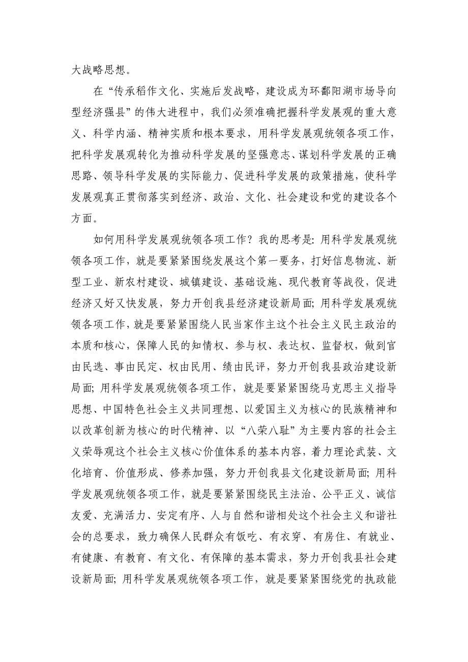 2009年县领导务虚会发言材料_第5页