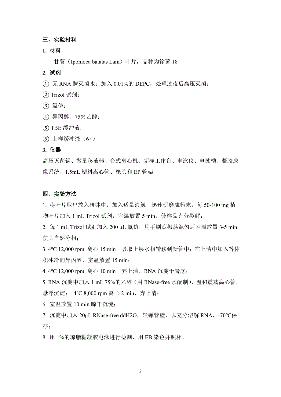 四川大学-生物技术-综合实验报告-学生版_第2页