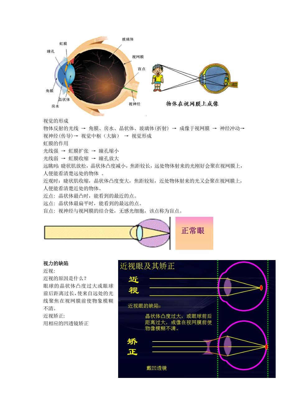 《眼睛与视觉》word版_第1页