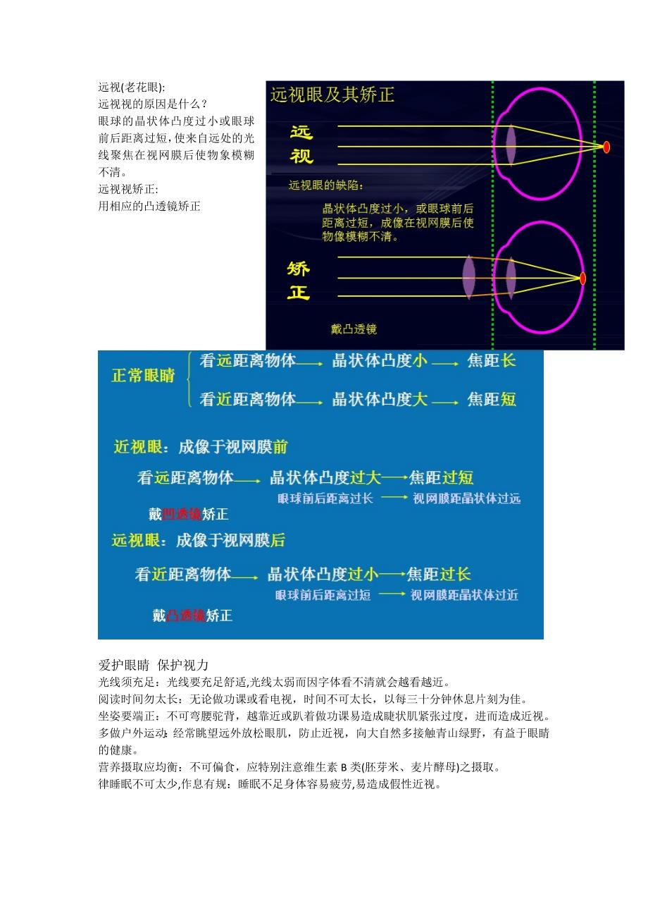 《眼睛与视觉》word版_第2页