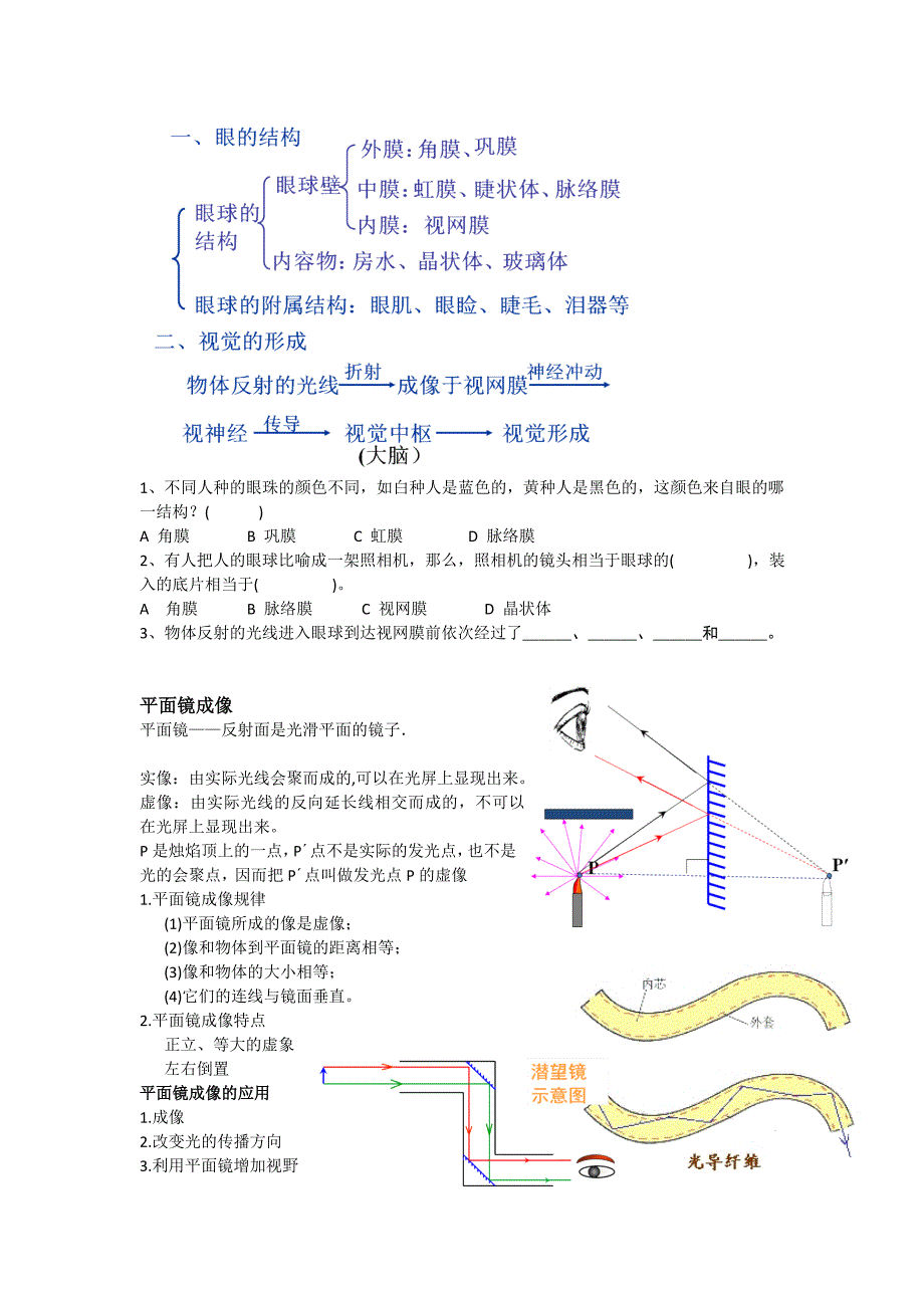 《眼睛与视觉》word版_第3页