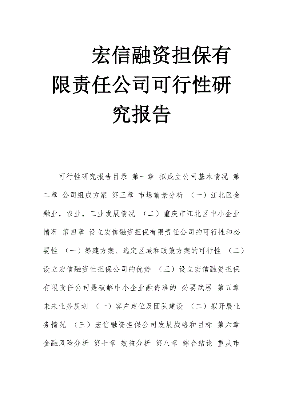 宏信融资担保有限责任公司可行性研究报告_第1页