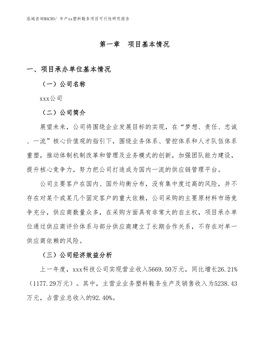 年产xx塑料鞋条项目可行性研究报告_第3页