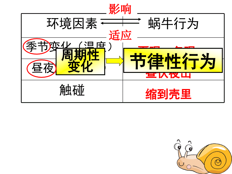 环境对生物行为的影响研究课_第4页