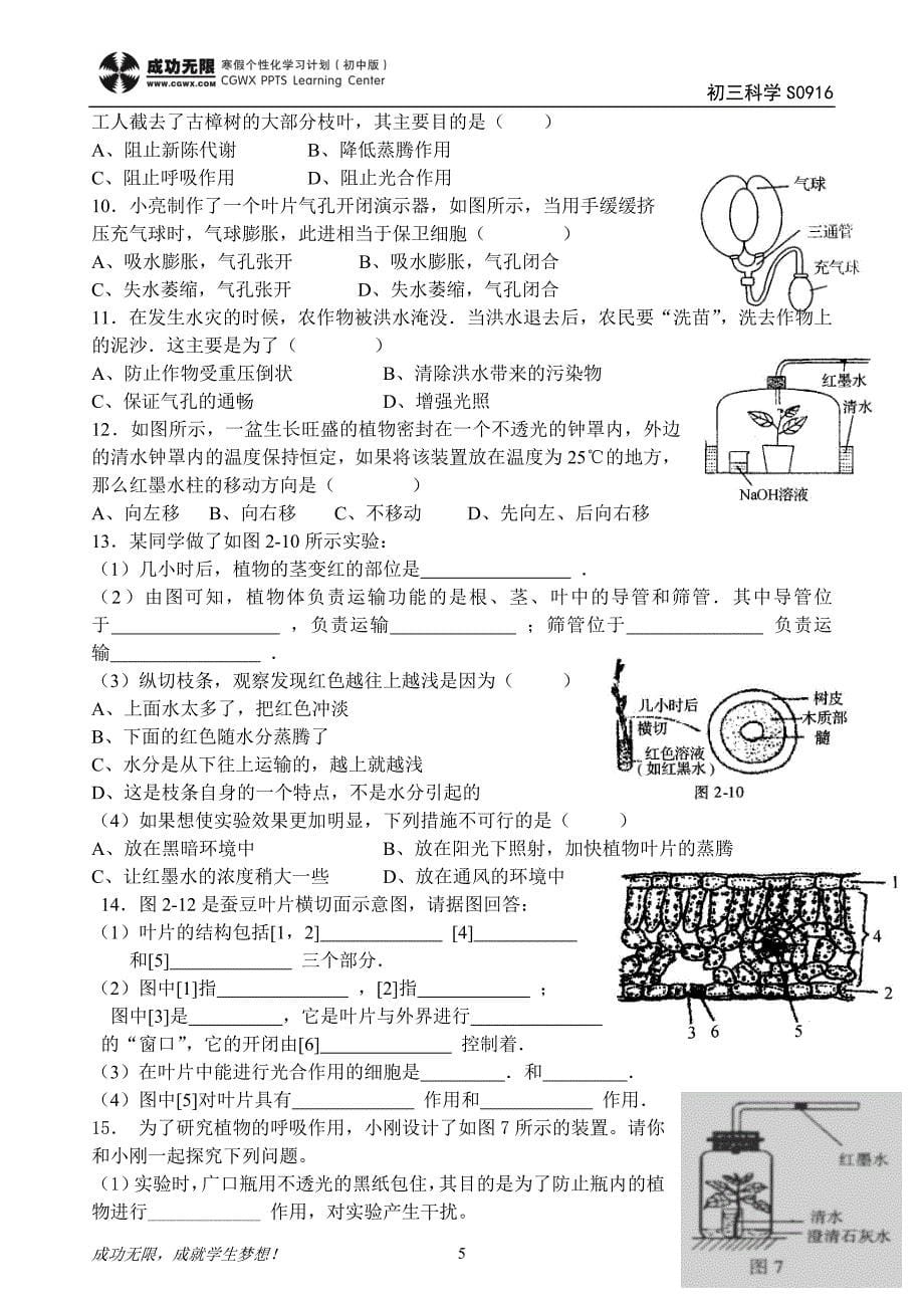 《植物的新陈代谢》doc版_第5页