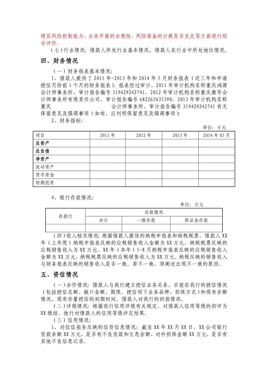 担保公司调查报告填写说明_第5页