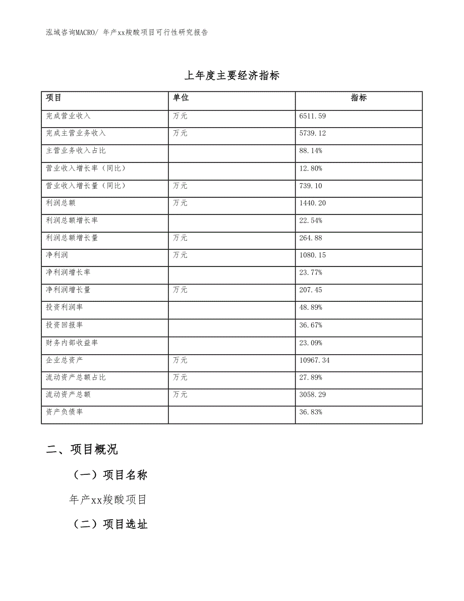 年产xx羧酸项目可行性研究报告_第4页