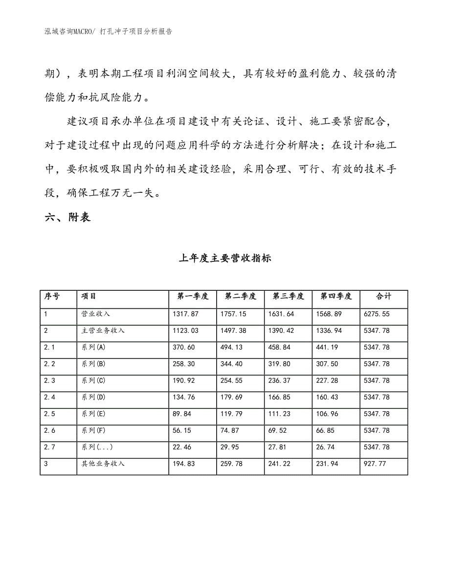 打孔冲子项目分析报告_第5页