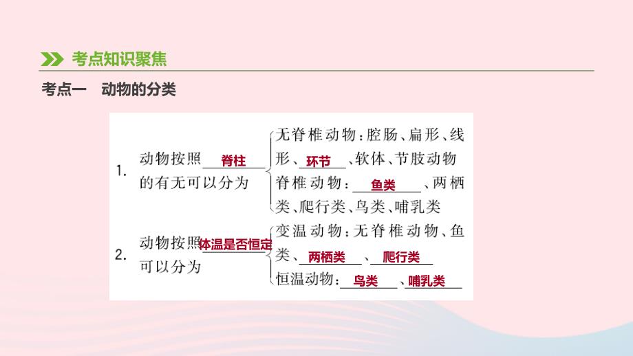 内蒙古包头市2019年中考生物 第五单元 生物圈中的其他生物 第14课时 动物的主要类群复习课件_第3页