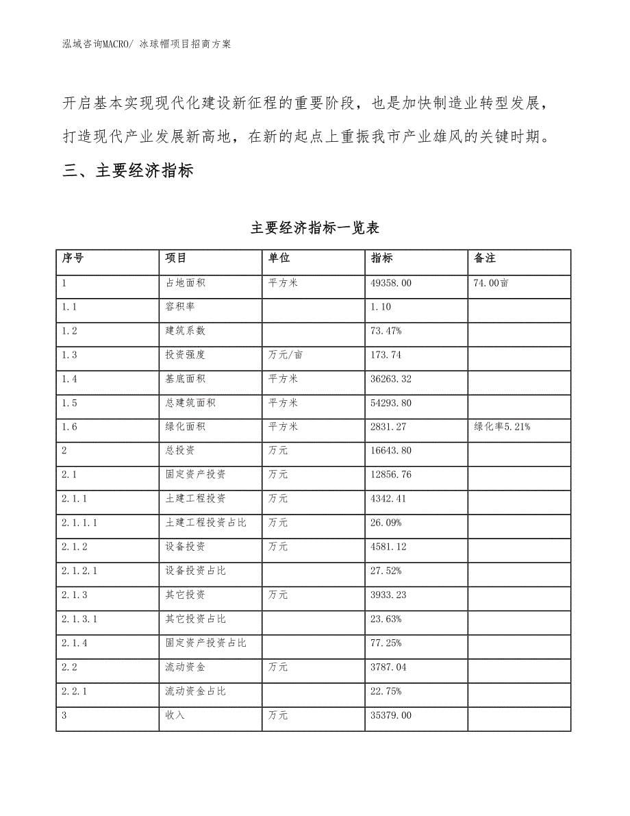 xxx工业新城冰球帽项目招商方案_第5页