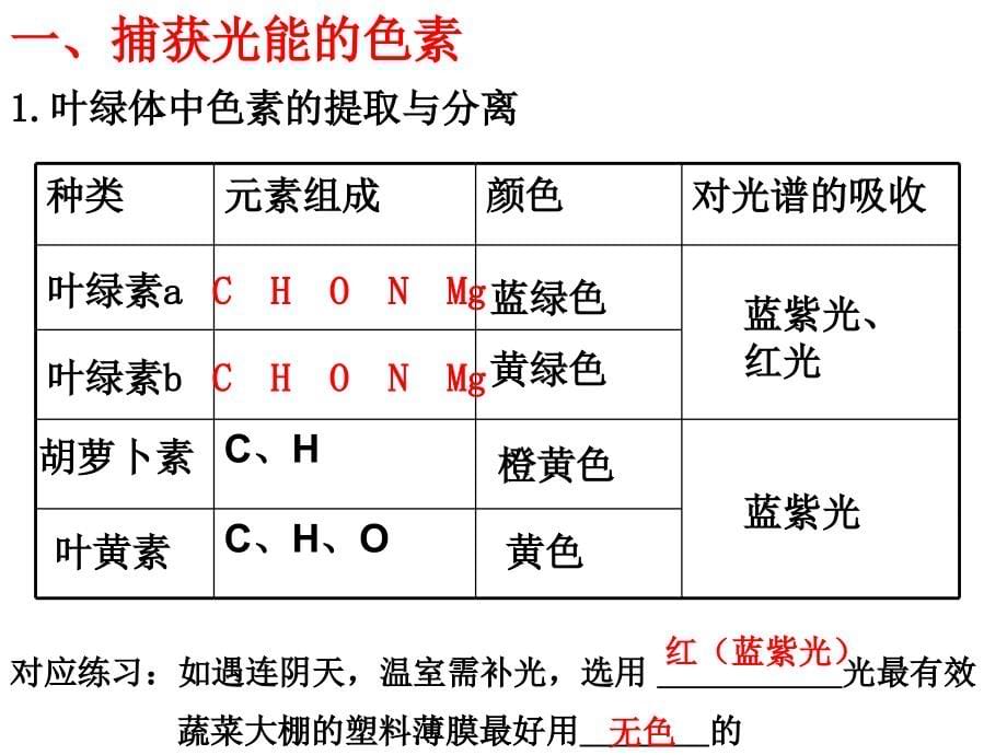 湖南省怀化市湖天中学高一生物必修一课件：捕获光能的色素和结构.ppt_第5页