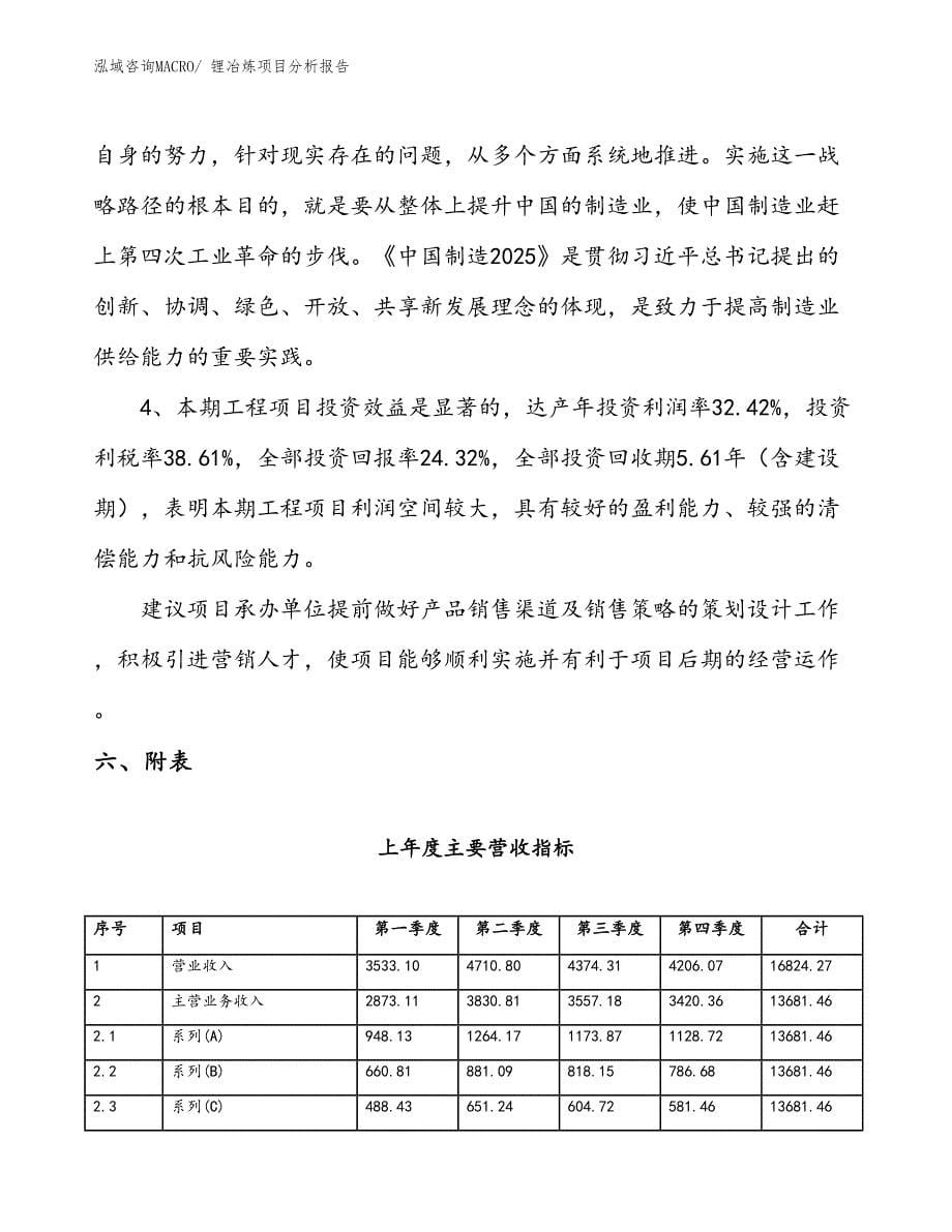 锂冶炼项目分析报告_第5页