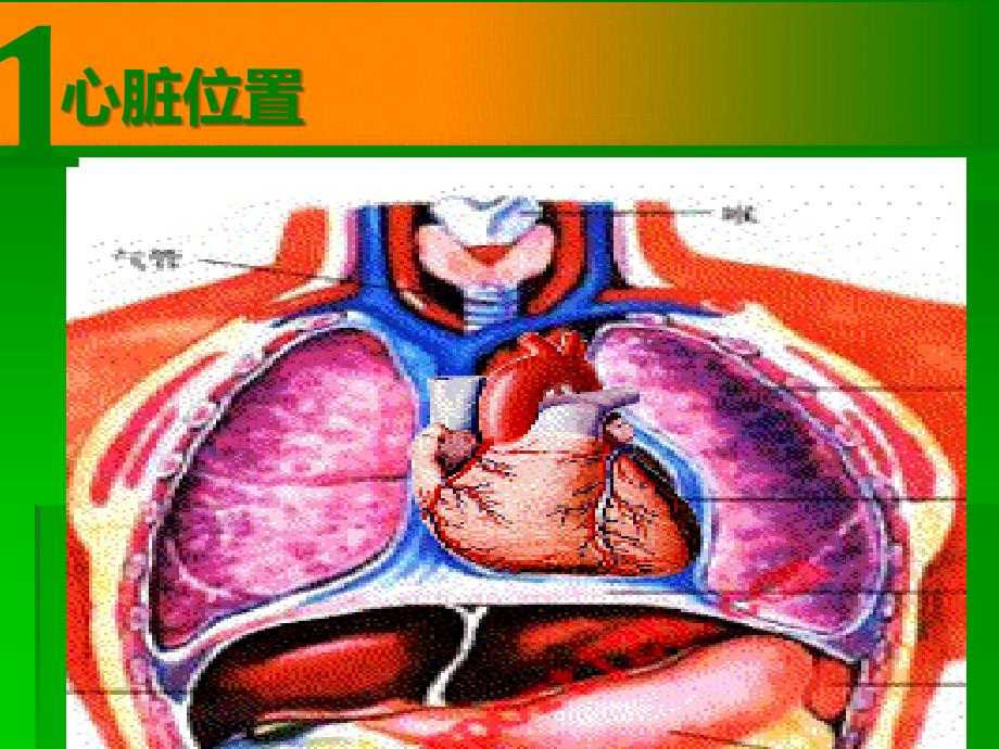 冠脉介入术ppt课件_第4页