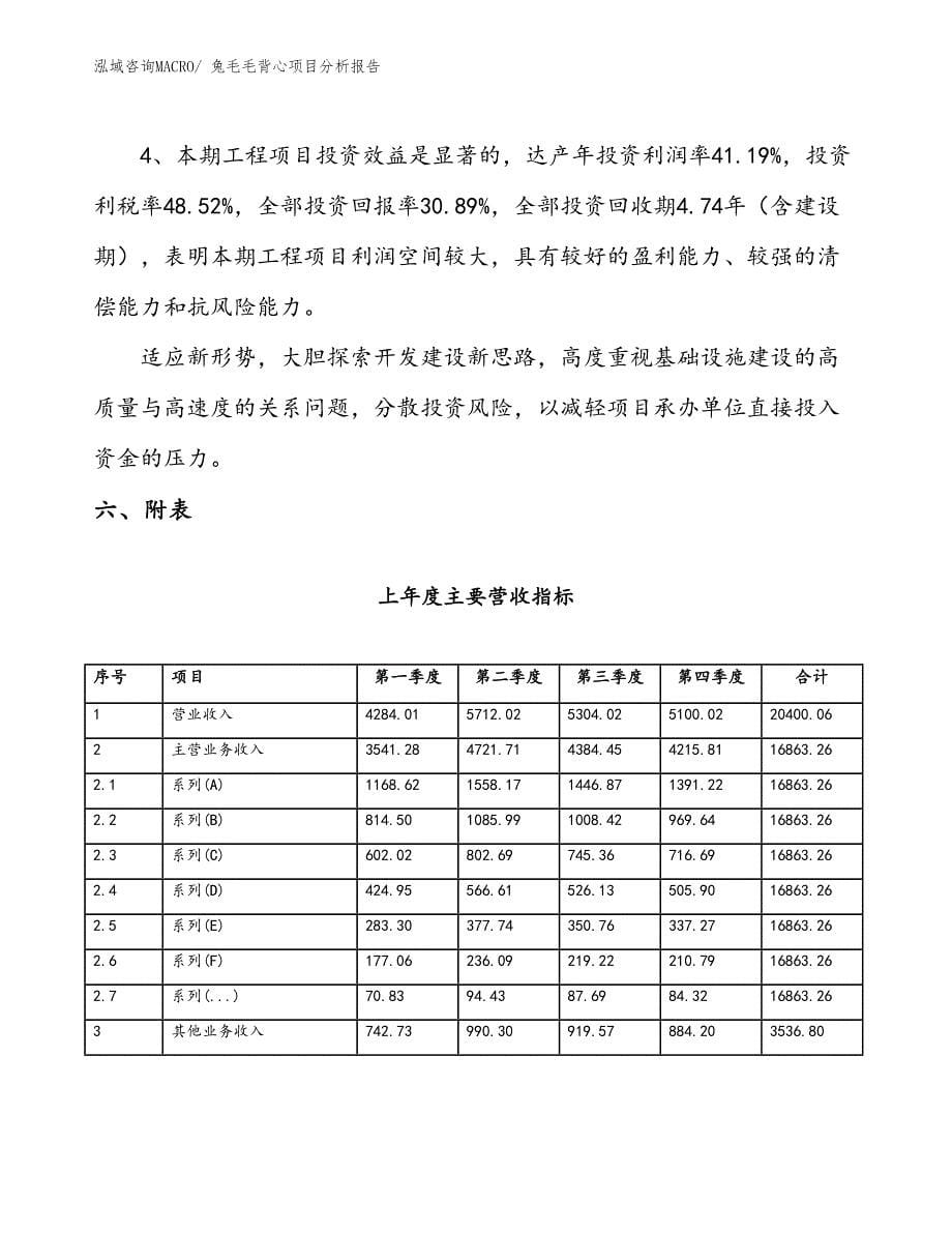 兔毛毛背心项目分析报告_第5页