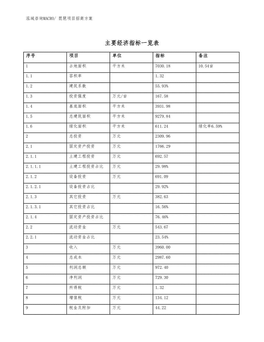 xxx产业示范中心琵琶项目招商方案_第5页