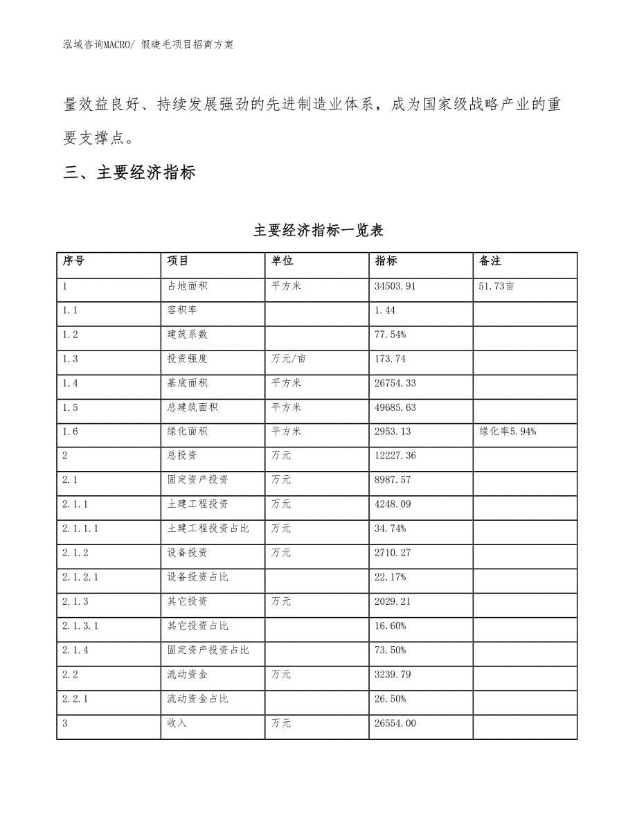 xxx高新区假睫毛项目招商_第5页