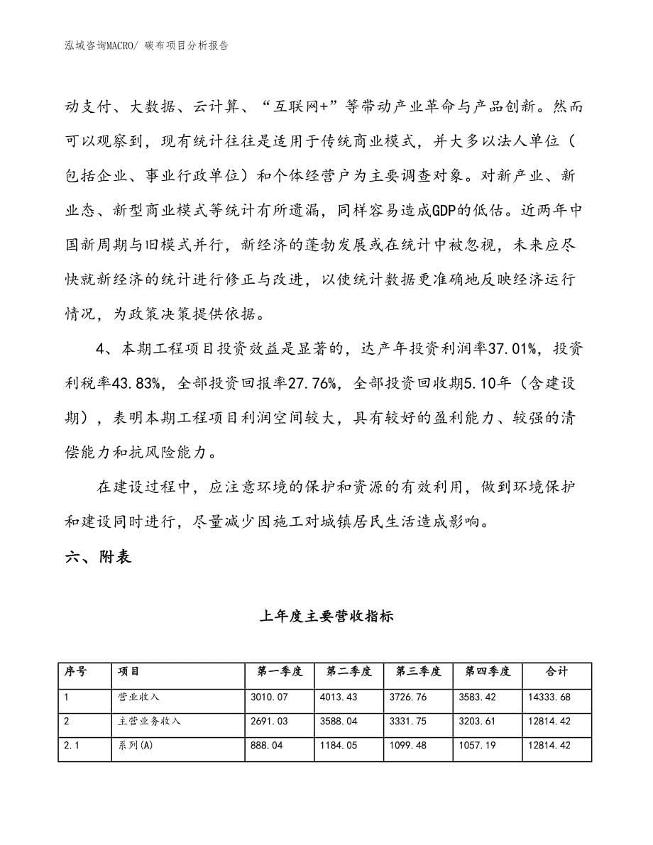 碳布项目分析报告_第5页