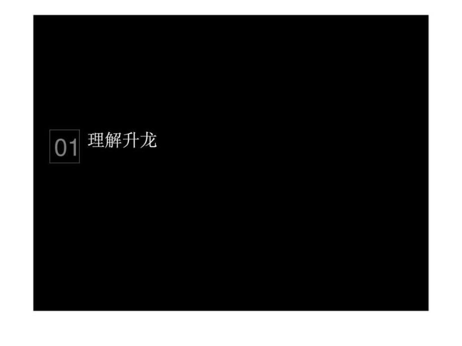 2010年洛阳升龙广场策略提案上_第5页