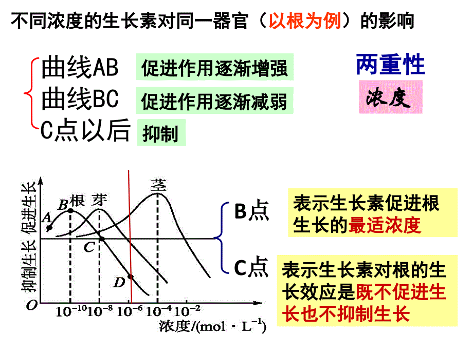 人教版高二生物必修三-第三章第二节-生长素的生理作用-课件_第2页