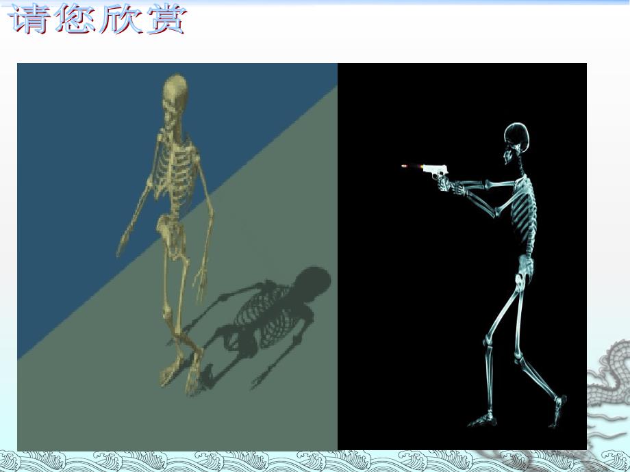 人体的支架--骨骼ppt课件_第1页