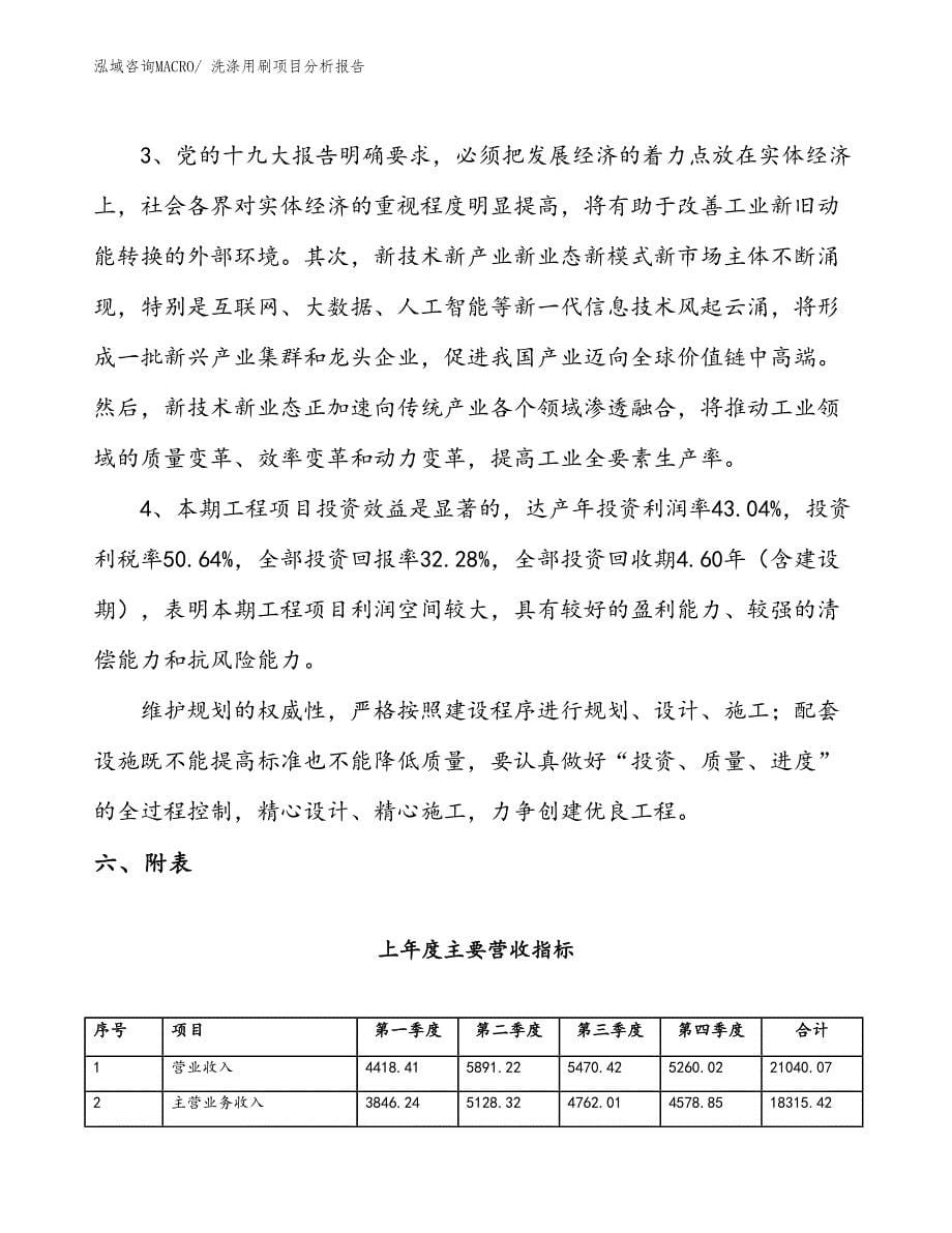 洗涤用刷项目分析报告_第5页