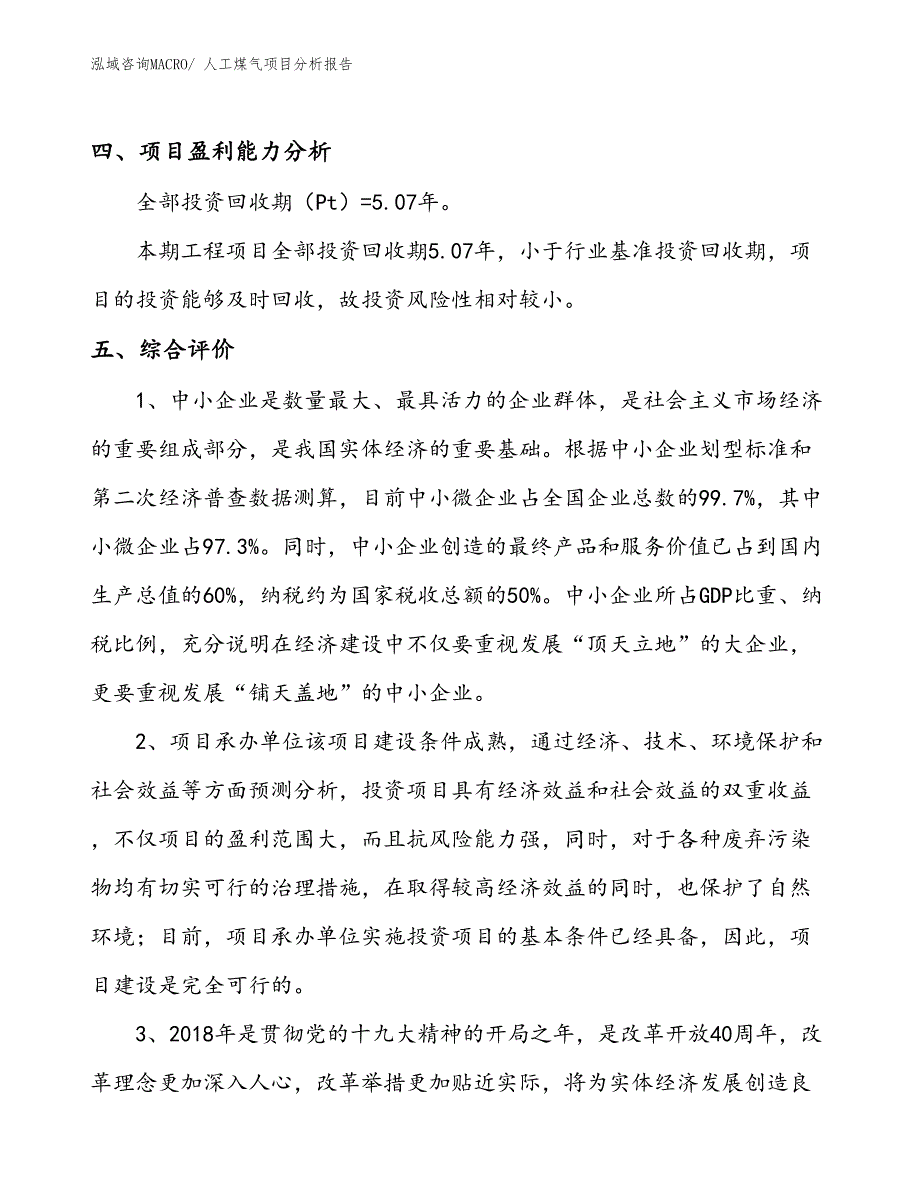 人工煤气项目分析报告_第4页