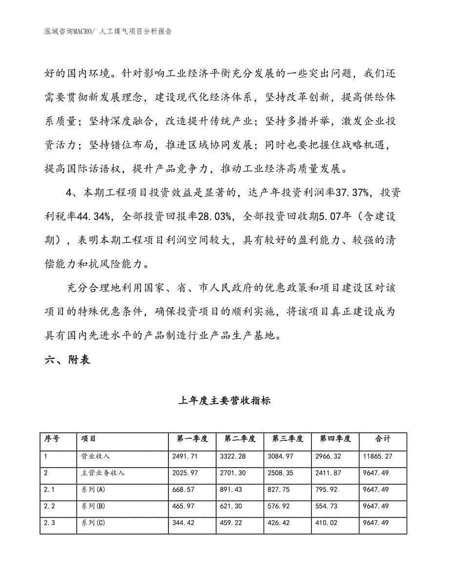 人工煤气项目分析报告_第5页