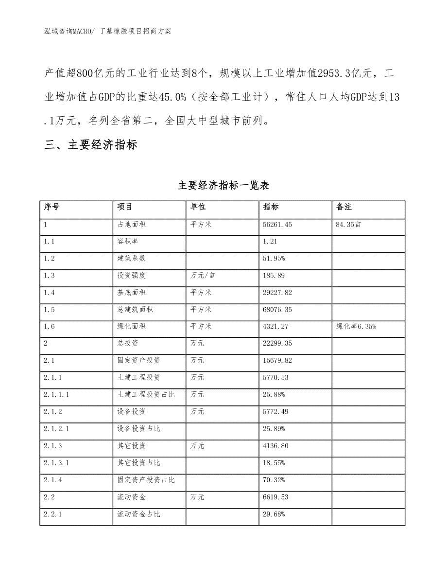 xxx工业新城丁基橡胶项目招商方案_第5页