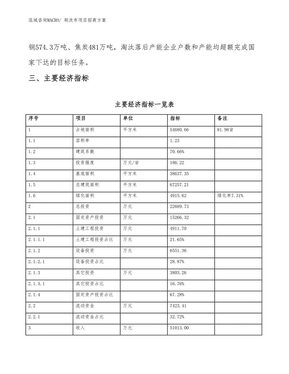 xxx工业园区刷洗布项目招商_第5页