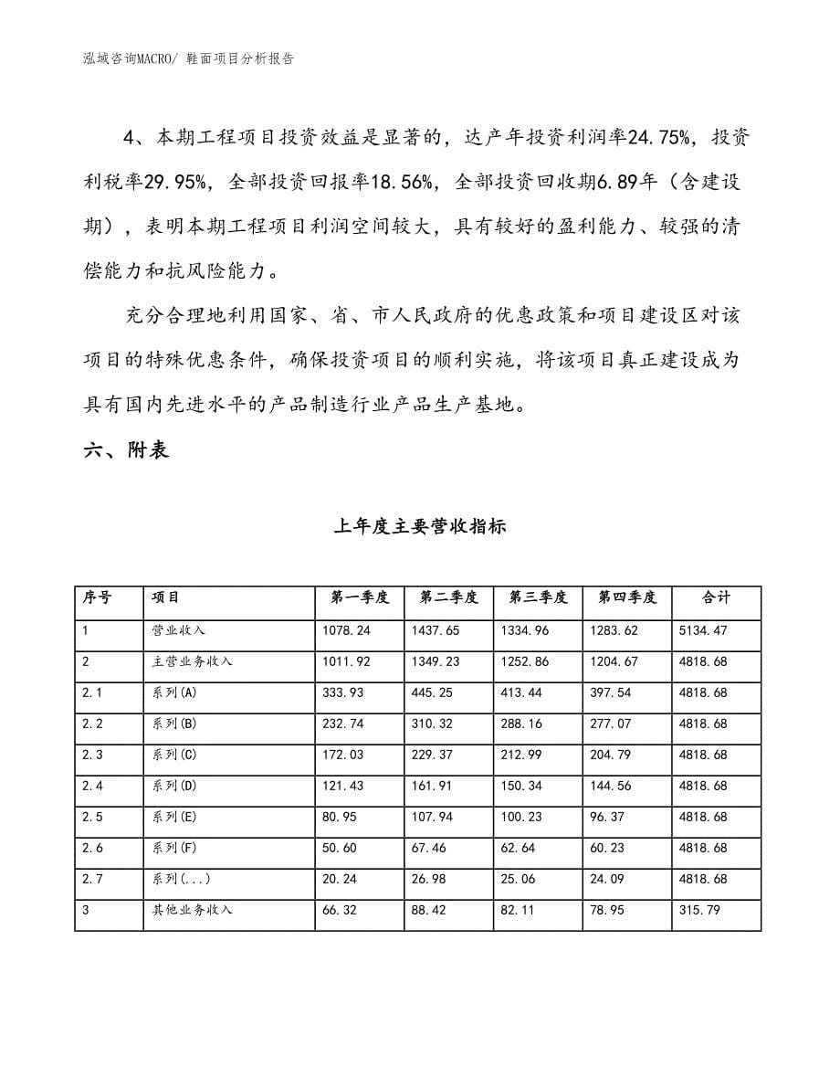 鞋面项目分析报告_第5页