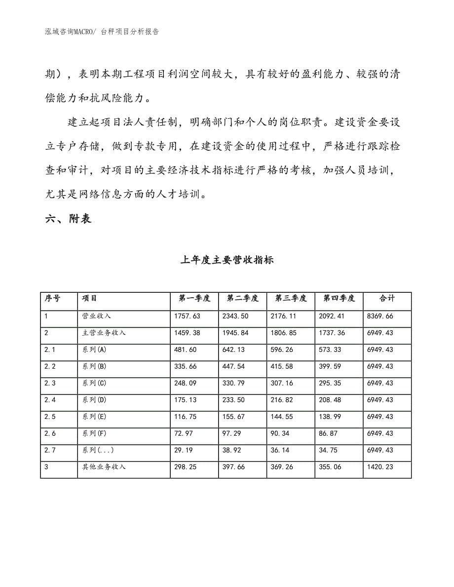 台秤项目分析报告_第5页