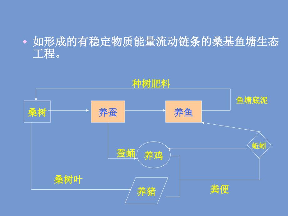 环境生态学02教学课件下载_第4页