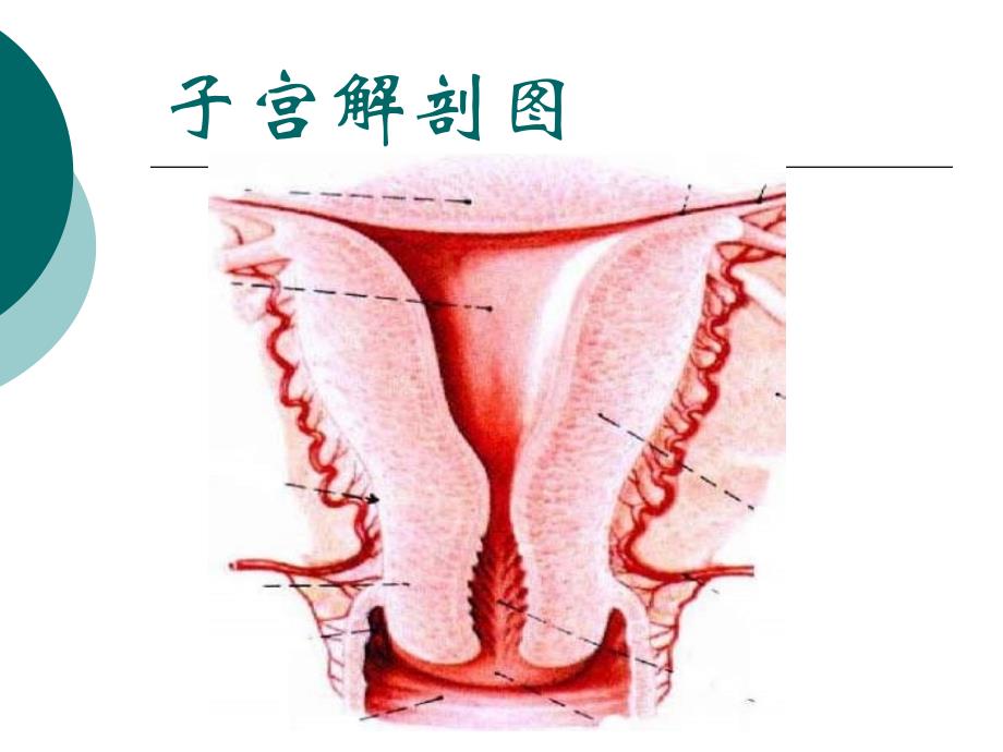 女性生殖健康知识(常见妇科疾病的症状及治疗)_第3页