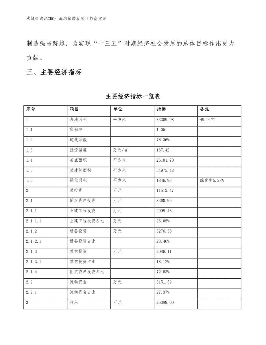 xxx经济开发区海绵橡胶板项目招商_第5页