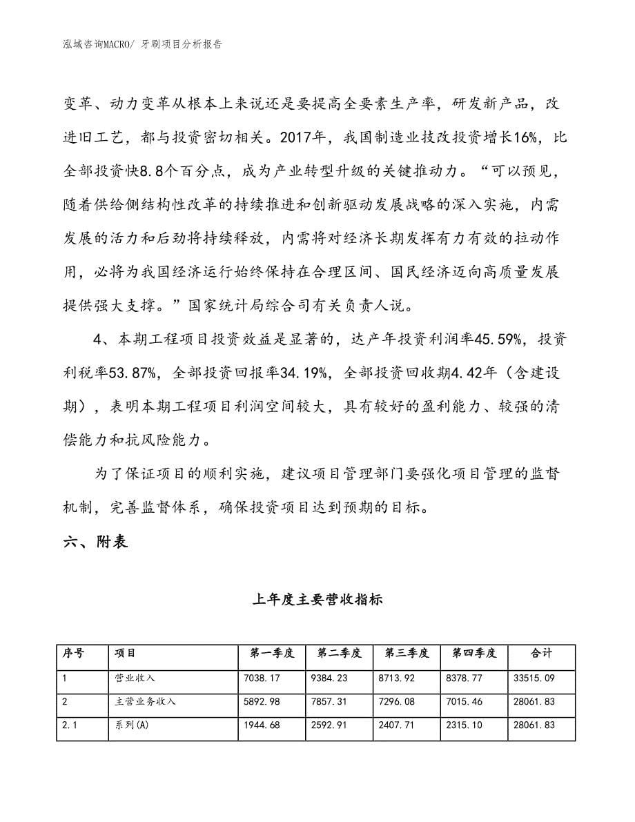 牙刷项目分析报告_第5页