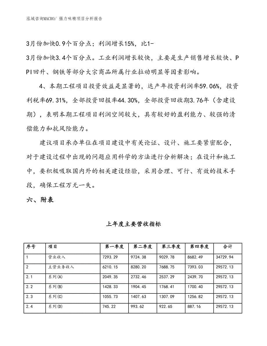 强力味精项目分析报告_第5页