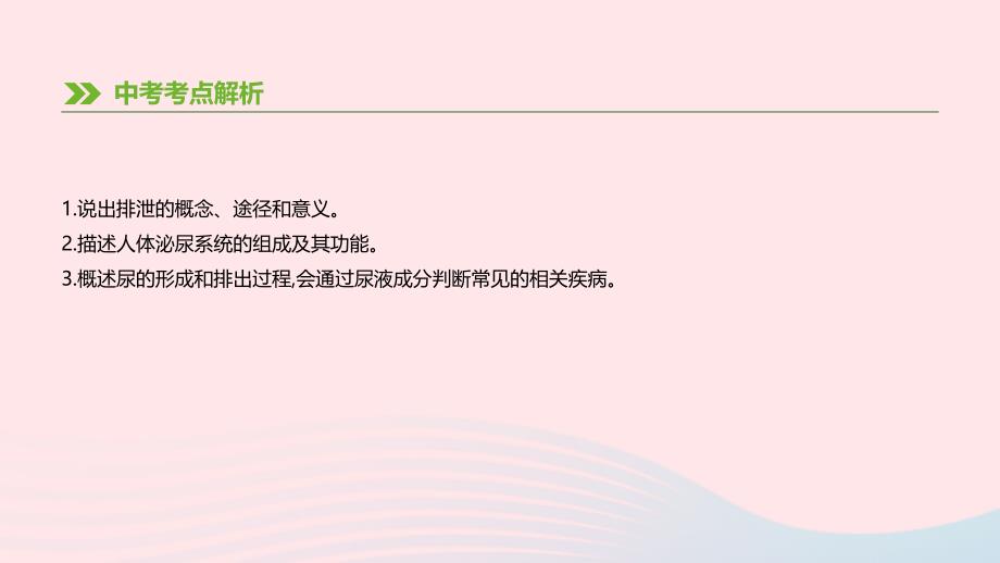 内蒙古包头市2019年中考生物 第四单元 生物圈中的人 第12课时 人体内废物的排出复习课件_第2页