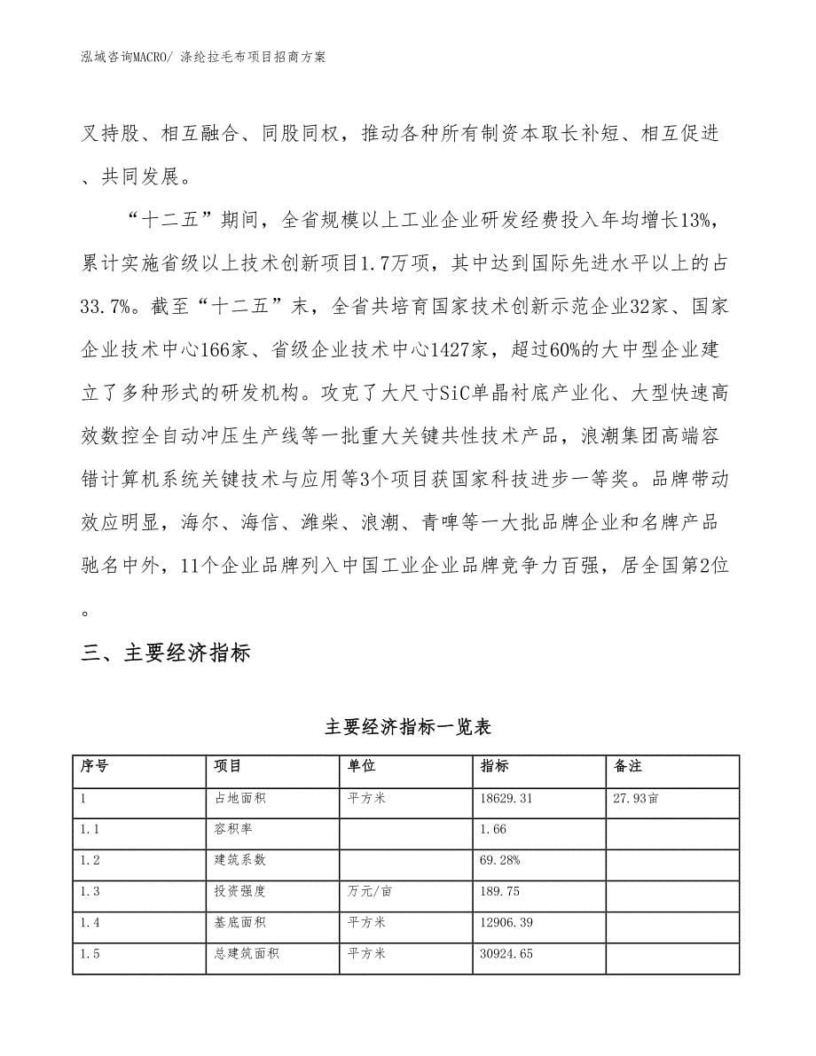 xxx高新技术产业开发区涤纶拉毛布项目招商_第5页