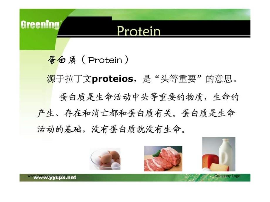 (基)蛋白质-冯竞楠_第2页