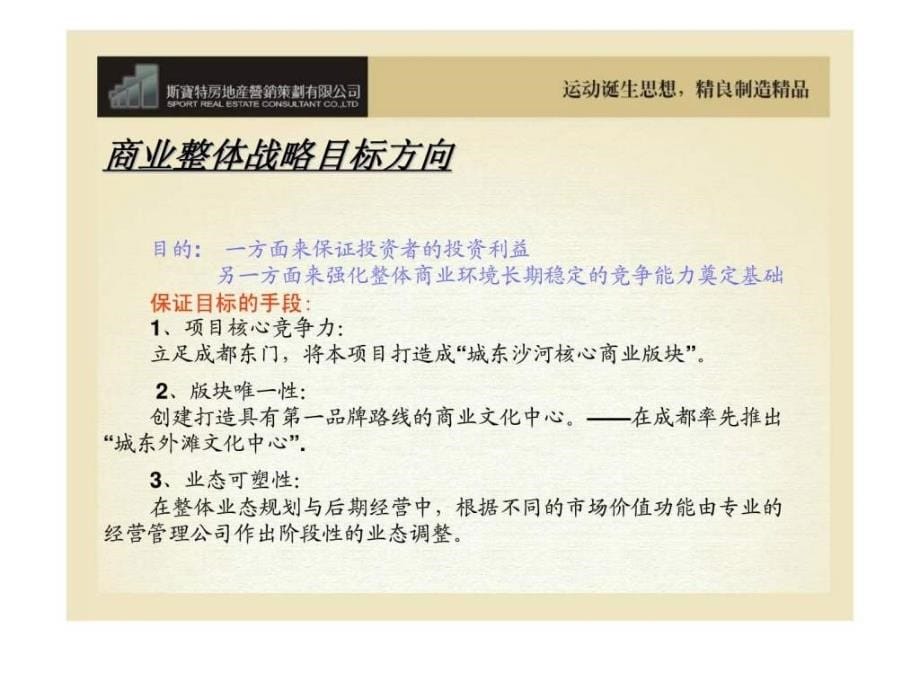 2007成都锦江新天地商业全程运营提案_第5页
